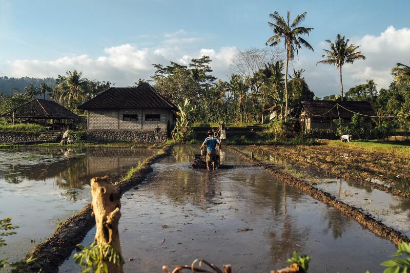 Agricultura Sustent Vel No Brasil O Que Qual A Import Ncia