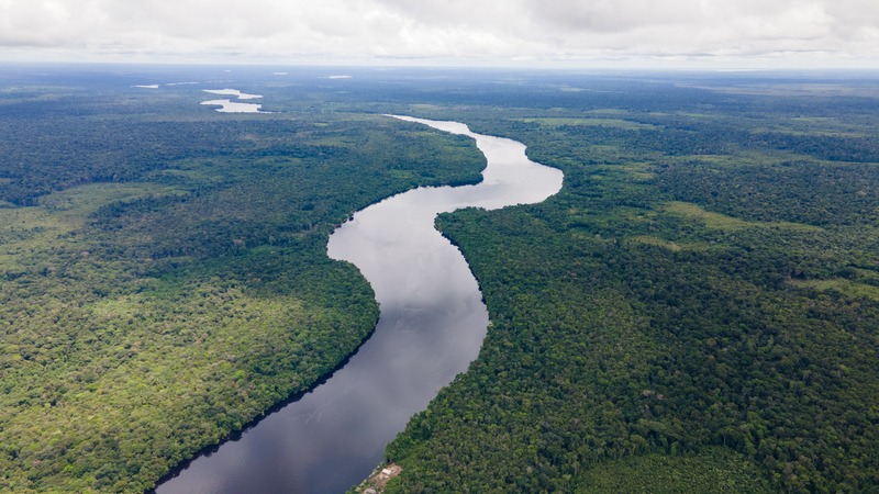 Qual a importância da Bacia Amazônica?🥃 Divirta-se com o Brasino 777