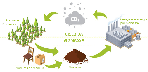 o-que-biomassa-e-como-funciona