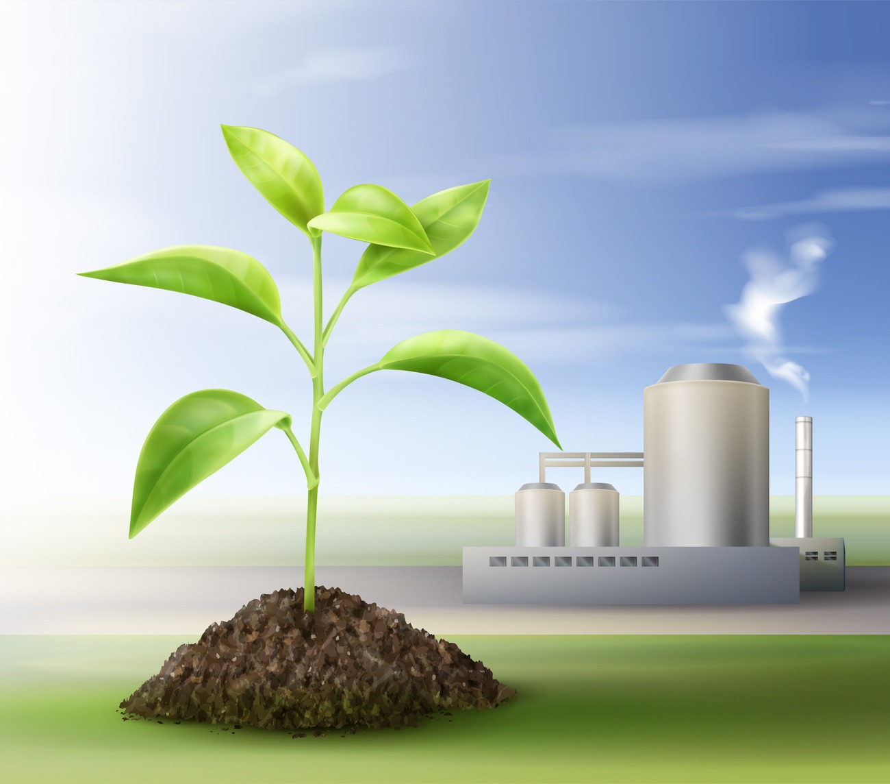 O Que Biomassa E Como Funciona